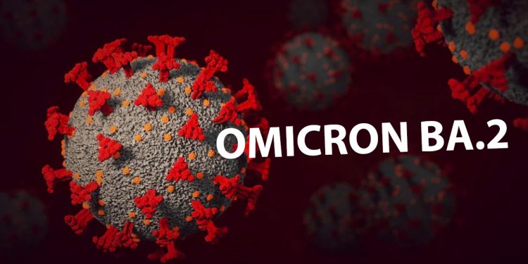 omicron 2