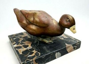 Campione di kickboxing picchiato dalla moglie