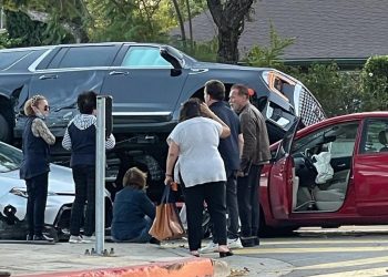 Arnold Schwarzenegger