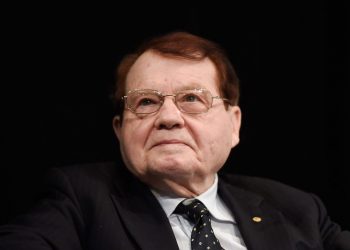 luc montagnier