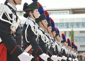 Trinariciuto allerta…allerta sto