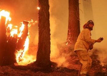 Altro che cambiamento climatico! Piromani scatenati, servono pene più dure