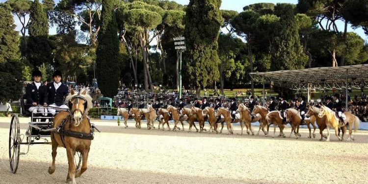 Il Carosello dei ragazzi del San Raffaele fra le stelle dell’equitazione mondiale