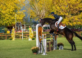 Montelibretti, campionati Regionali Senior e Young Rider
