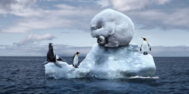 A cosa è servita la cop-27