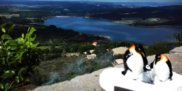 OvoPinto: una XXXV° Edizione con Rinn-OVO il rinnovamento main theme del Concorso