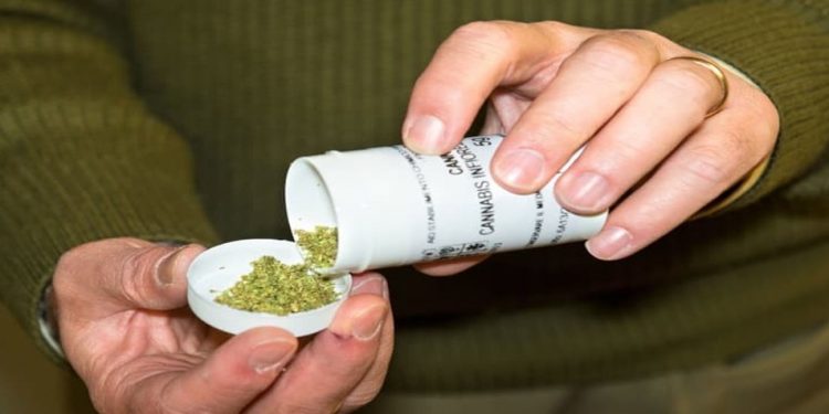 Cannabis medica: conclusa la prima fase della Commissione Interministeriale