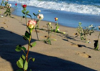 L’ipocrisia della propaganda PD sui morti