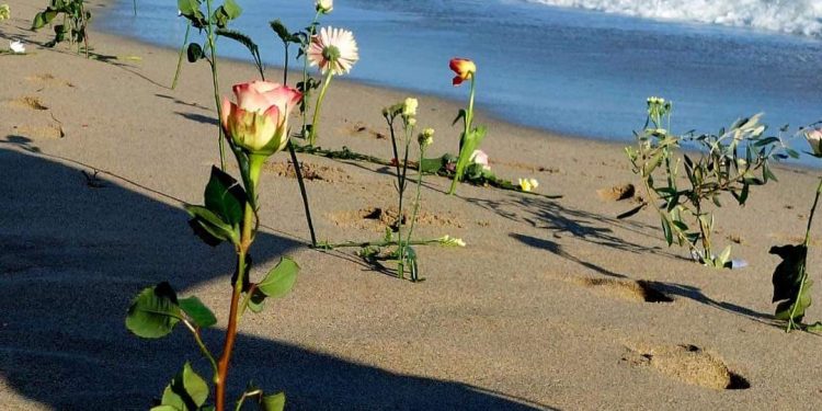 L’ipocrisia della propaganda PD sui morti