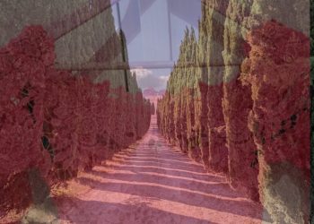 L’amore rubato