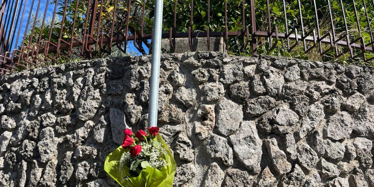 Una rosa per Norma: torna l’iniziativa di C10F per ricordare Norma Cossetto