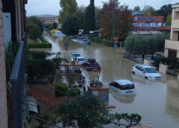 Maltempo. FDI profondo dolore. Non deve succedere ancora !