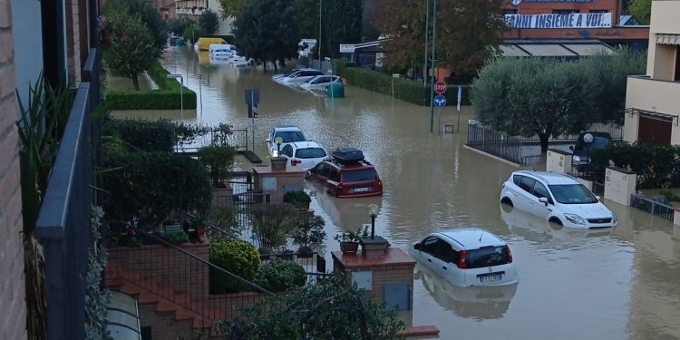 Maltempo. FDI profondo dolore. Non deve succedere ancora !