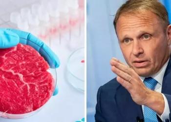 Alimentazione sintetica… quando