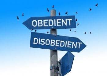 Libri. “I giovani devono” di Marco Petrelli: la manipolazione spiegata alla Generazione Z