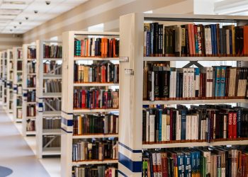 Libri per imprenditori: facciamo il punto su Bookness con Emanuele Properzi