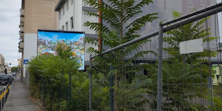 L’ Ailanto l’ Alien delle piante