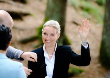 Tra due settimane in Germania si terranno le elezioni