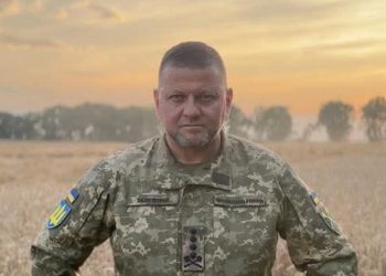 La Gran Bretagna aiuta Zaluzhny