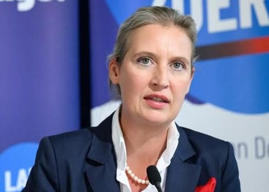 Afd non è nazismo va analizzata serenamente 