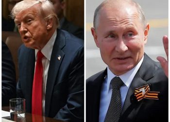 Donald call Vladimir