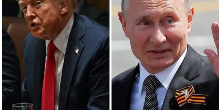 Donald call Vladimir