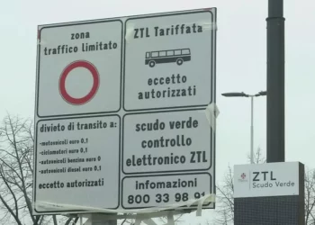 scudo verde
