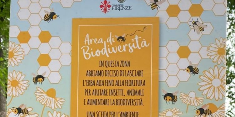 Il parco delle Cascine è così per la biodiversità o l’ incuria?