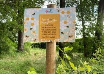 Cascine, cartolina dal degrado: tra rami che cadono e promesse non mantenute
