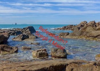 Questa volta scelgo il mare: il voto più utile è non votare