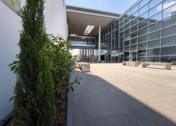 Riflessione sulla diffusione dell’odio antiebraico e l’ispirazione dietro la strage di Sydney