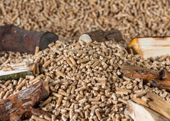 Stufa a pellet: tutto quello che c’è da sapere per ottimizzare l’investimento