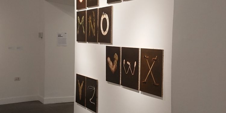 Quasi Picturae, l’alfabeto sospeso di Lorenzo D’Anteo al CAMeC 