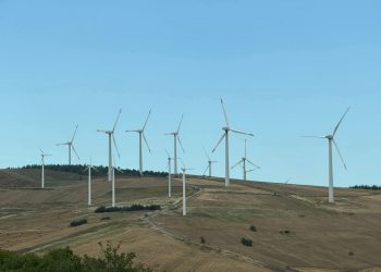 L’eolico per il centro sinistra. Ecologisti solo in teoria