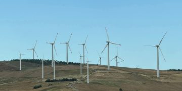 L’eolico per il centro sinistra. Ecologisti solo in teoria