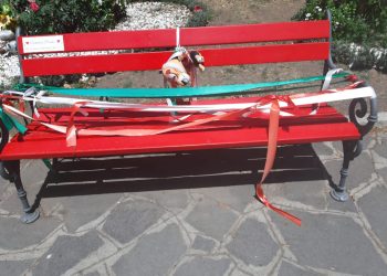 ​PIAZZA RE DI ROMA: IL GRIDO DI UNA MADRE CONTRO L’INDIFFERENZA ISTITUZIONALE