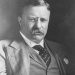 L’integrazione secondo Theodore Roosevelt: un’unica lealtà